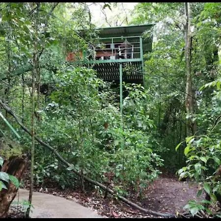 Jungle Living Tree Houses Monteverde Luaran gambar