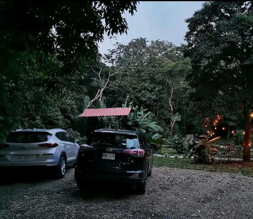 Jungle Living Tree Houses Monteverde Luaran gambar