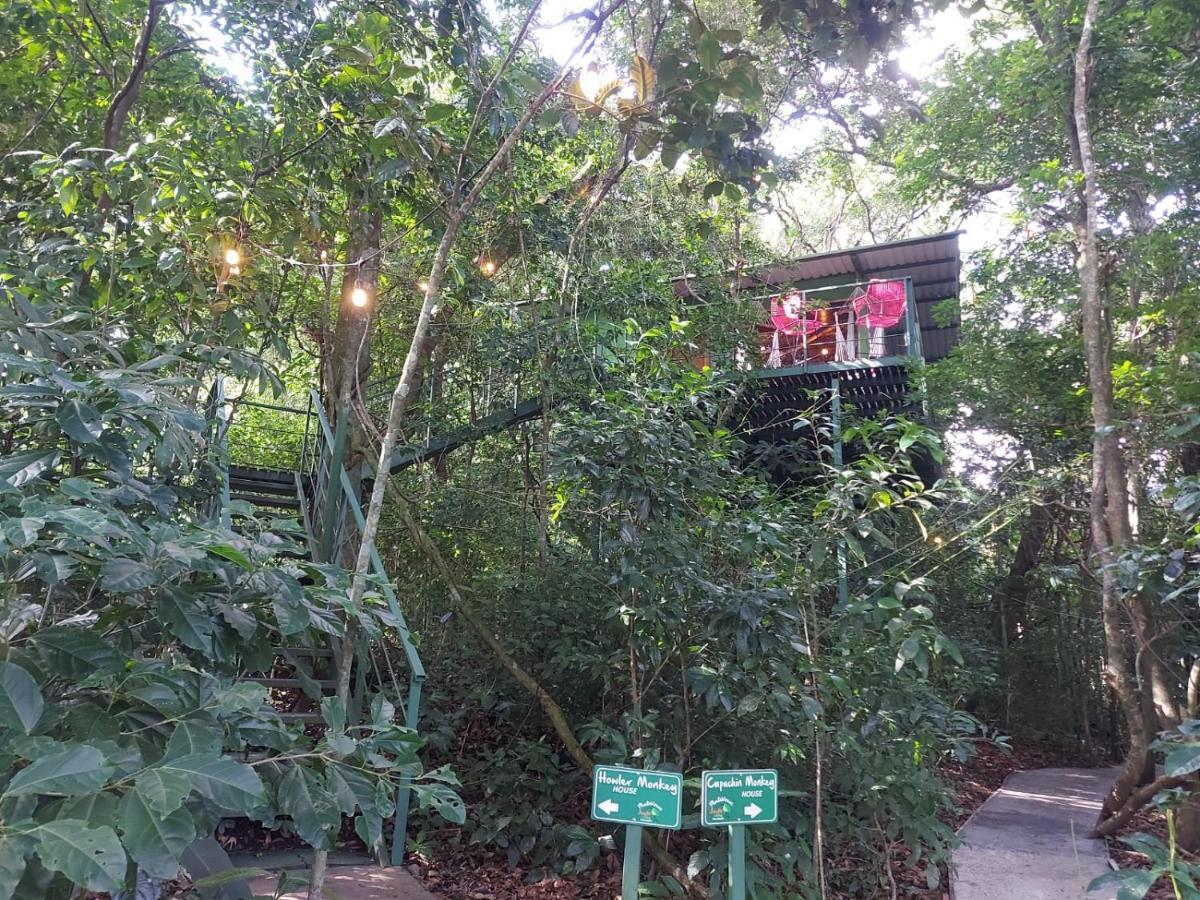 Jungle Living Tree Houses Monteverde Luaran gambar