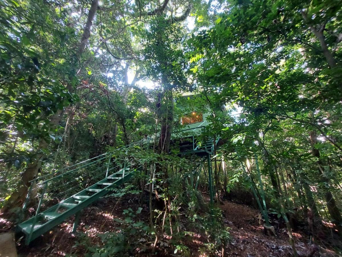 Jungle Living Tree Houses Monteverde Luaran gambar