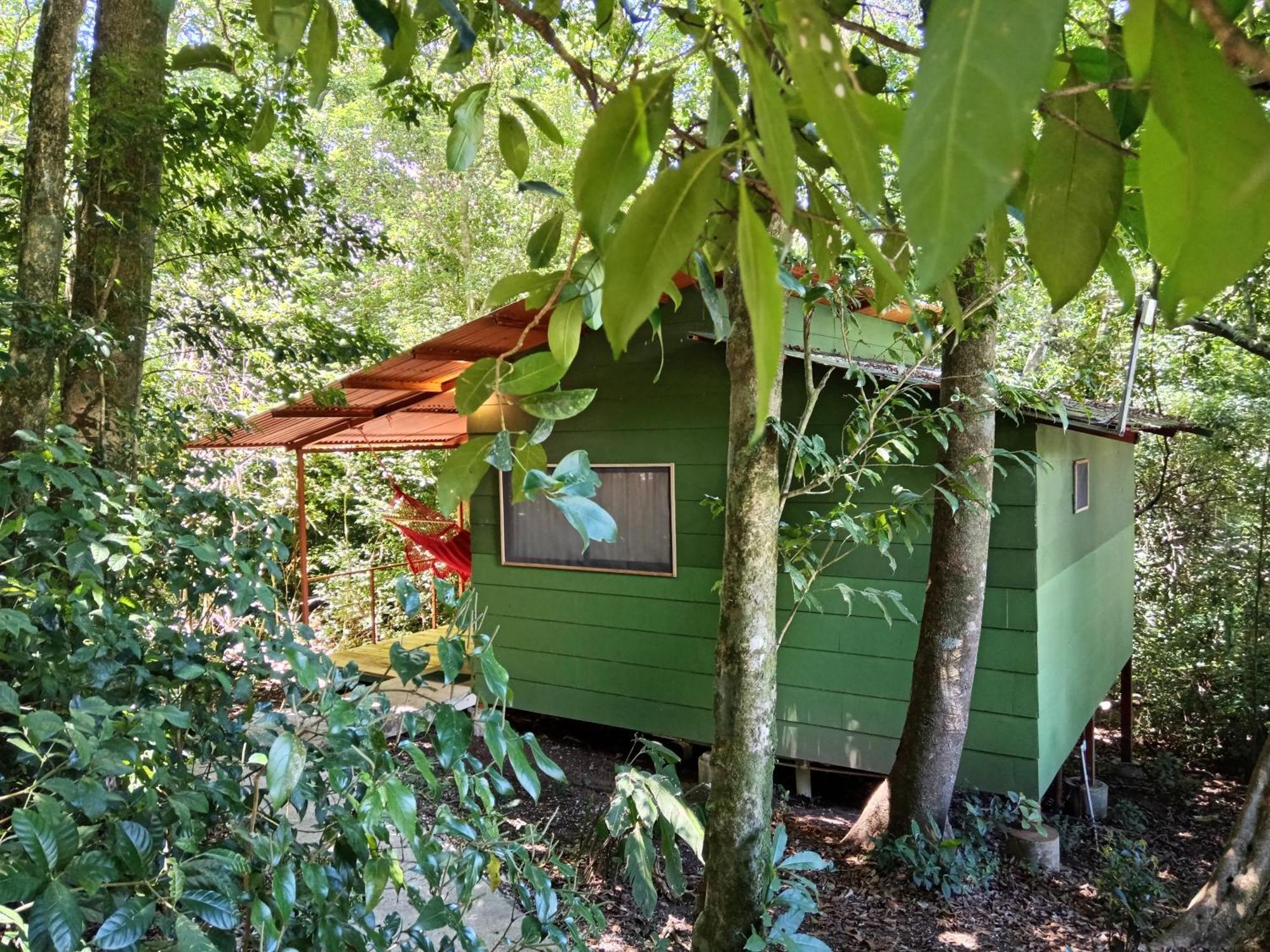Jungle Living Tree Houses Monteverde Luaran gambar