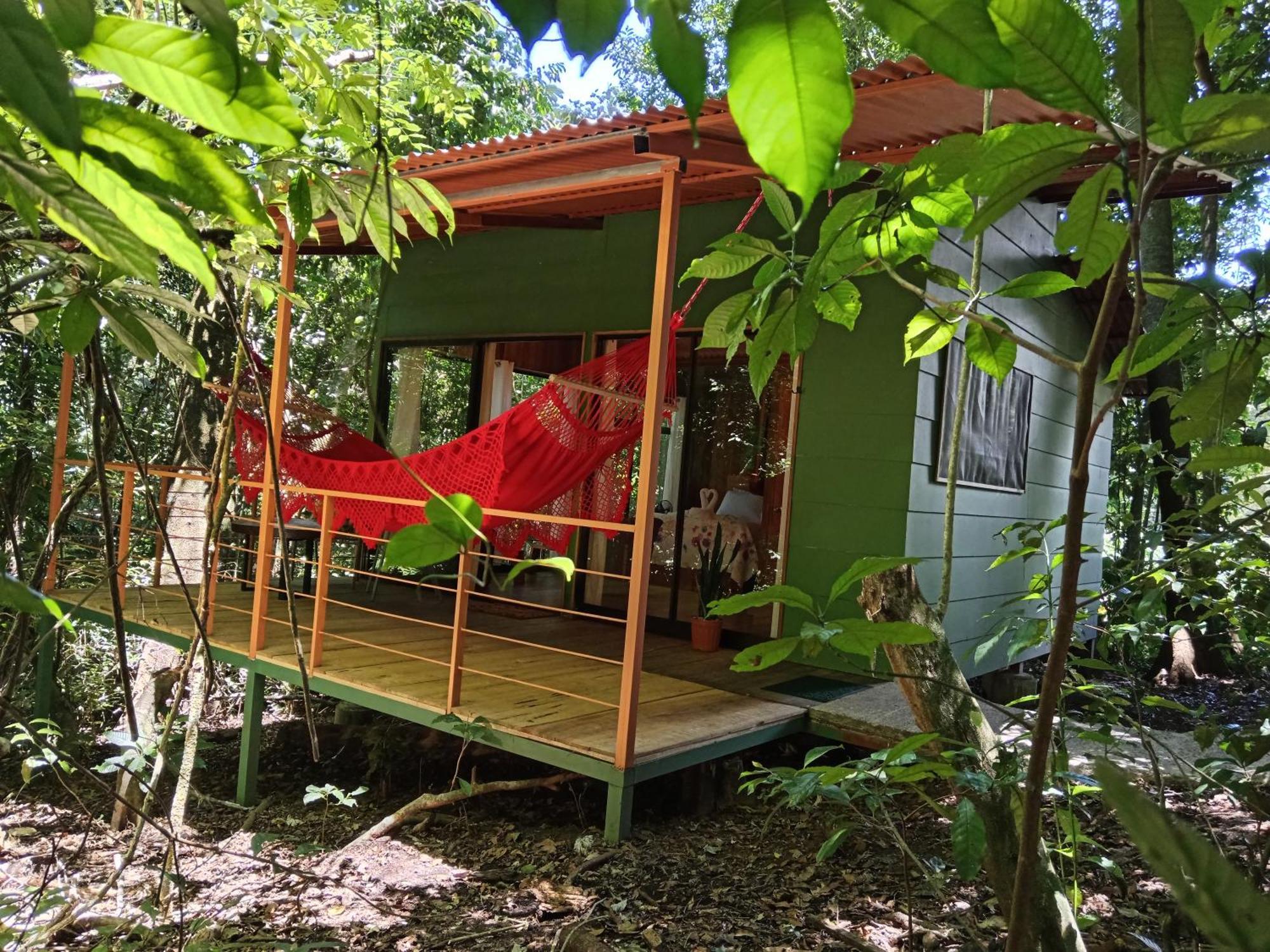 Jungle Living Tree Houses Monteverde Luaran gambar