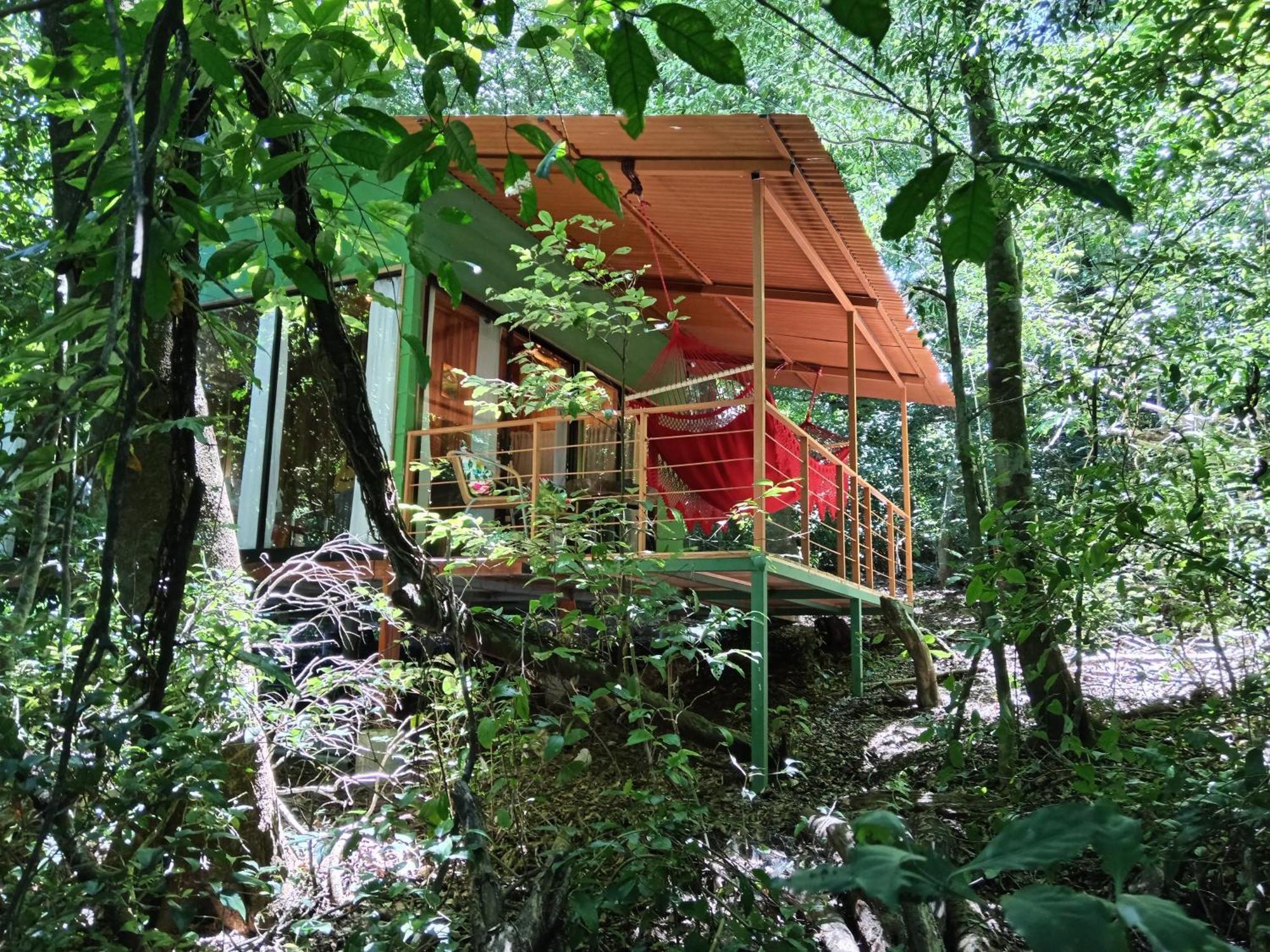 Jungle Living Tree Houses Monteverde Luaran gambar