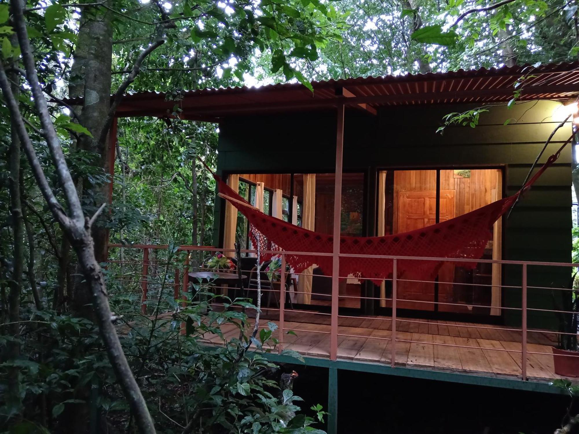 Jungle Living Tree Houses Monteverde Luaran gambar
