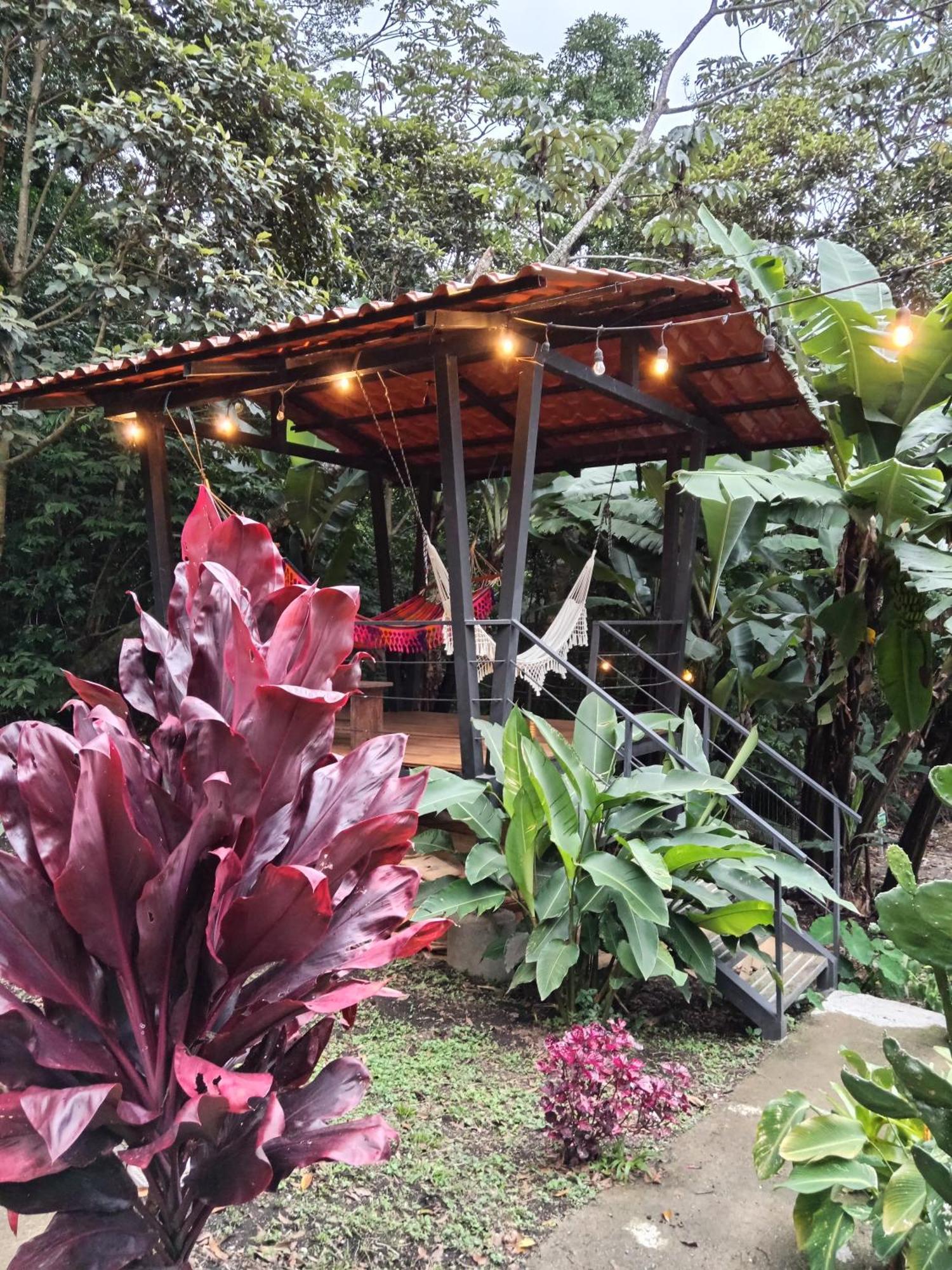Jungle Living Tree Houses Monteverde Luaran gambar