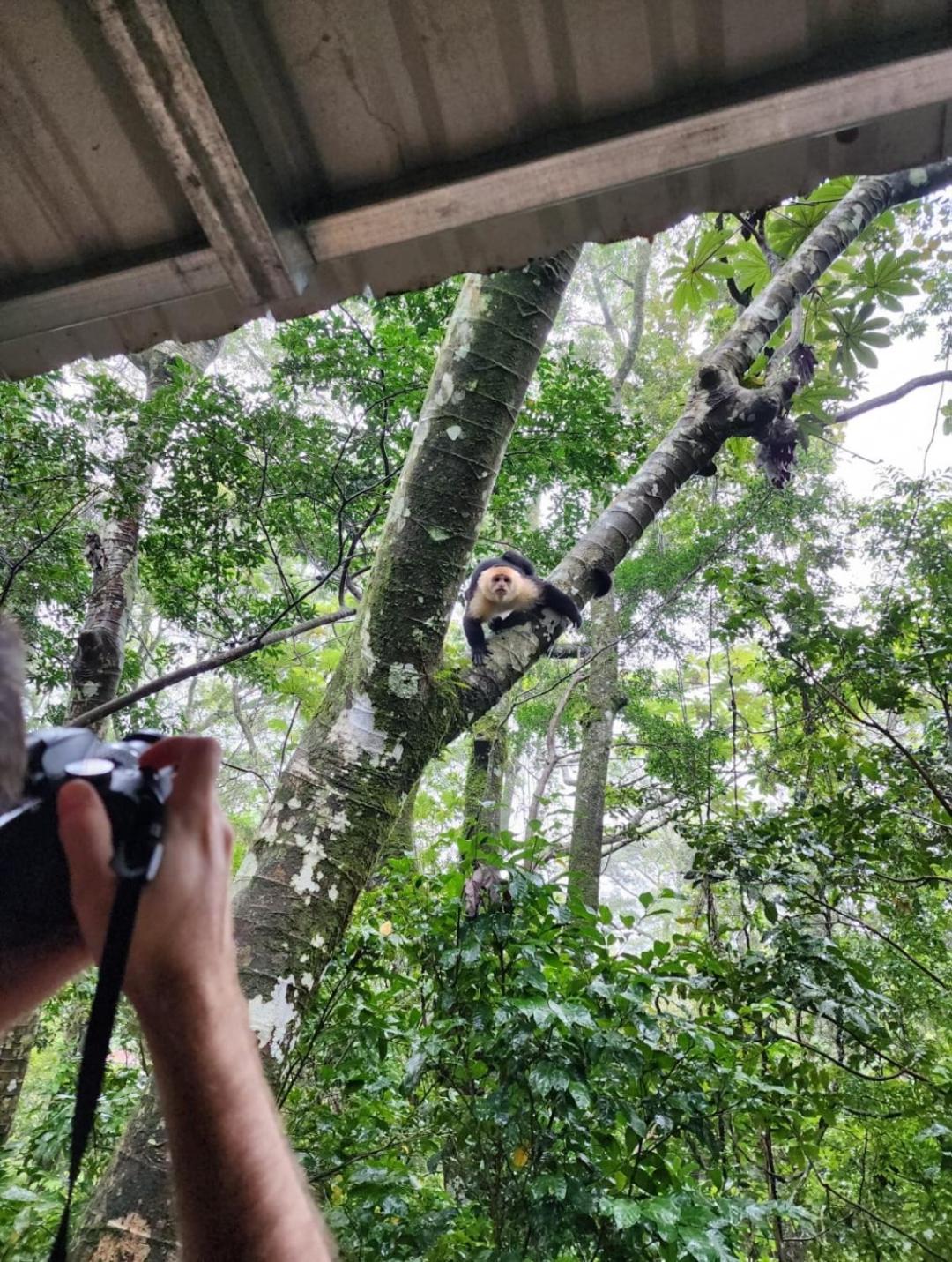 Jungle Living Tree Houses Monteverde Luaran gambar
