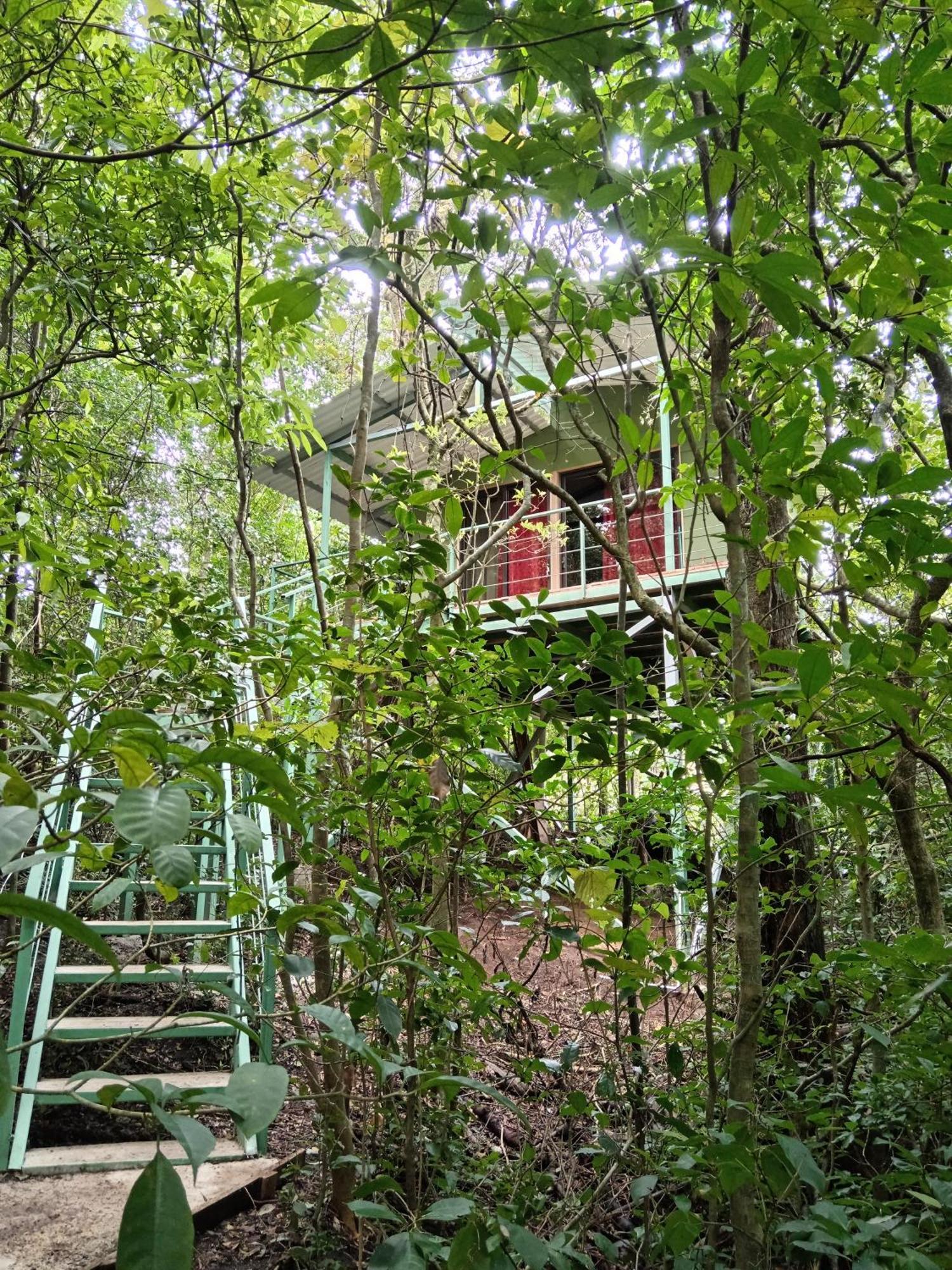 Jungle Living Tree Houses Monteverde Luaran gambar