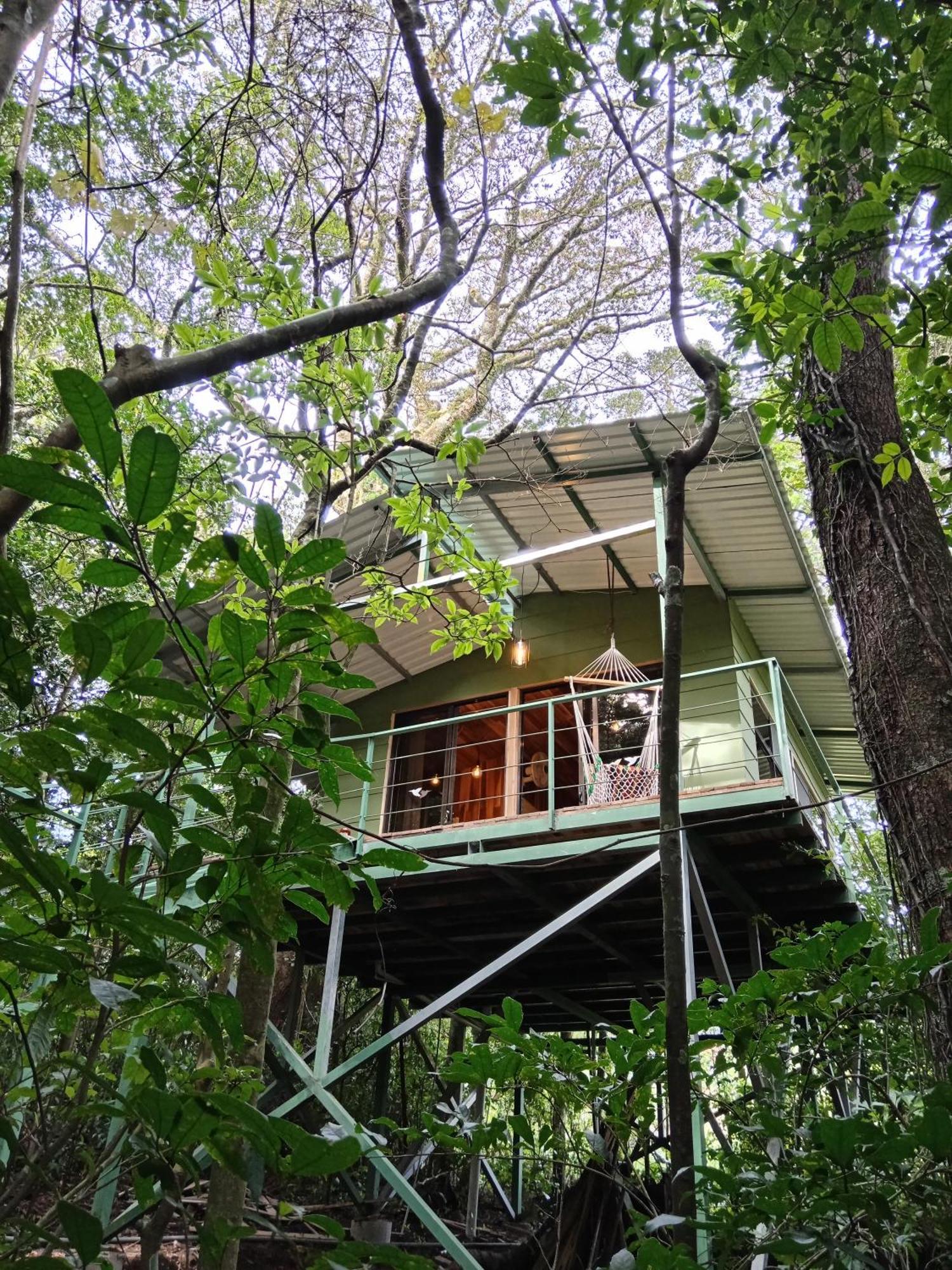 Jungle Living Tree Houses Monteverde Luaran gambar