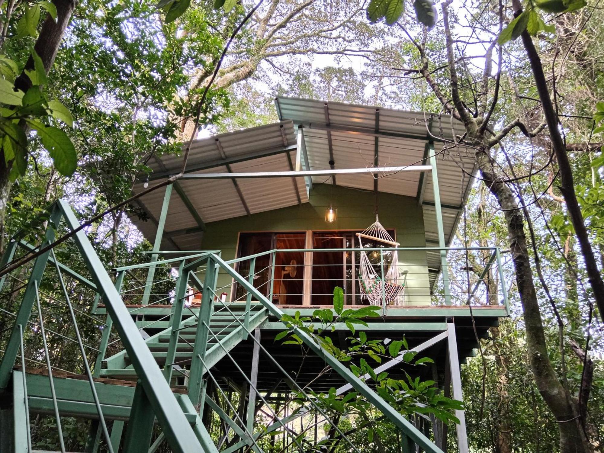 Jungle Living Tree Houses Monteverde Luaran gambar