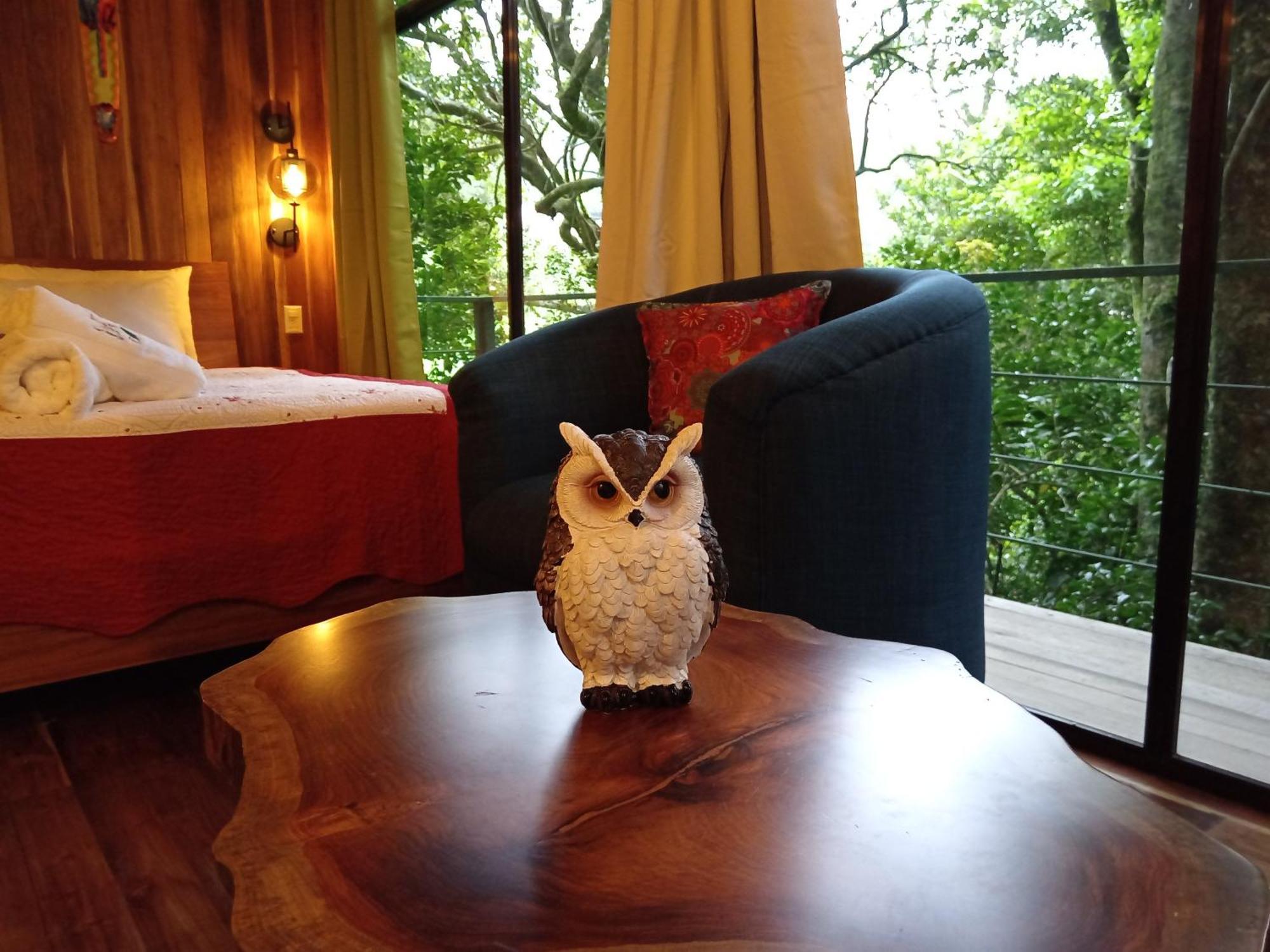 Jungle Living Tree Houses Monteverde Luaran gambar