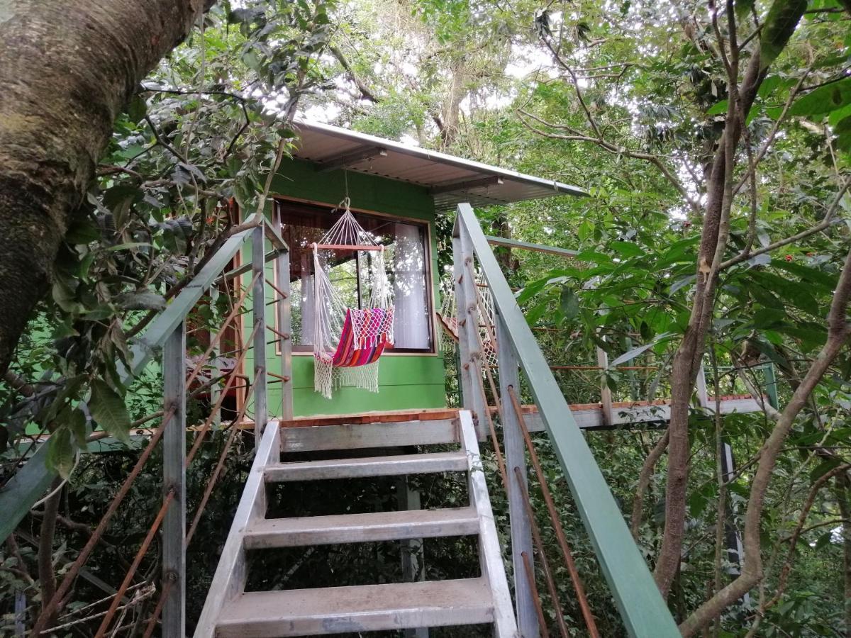 Jungle Living Tree Houses Monteverde Luaran gambar